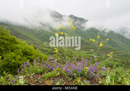 Landscape and springtime wildflowers near the Haghpat Monastery  in northern Armenia , a Unesco world heritage site Stock Photo