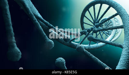 DNA structure close up Stock Photo