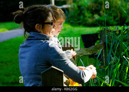 Summers Road, Godalming. 18th September 2017. UK Weather. Cloud cover began to clear this morning over the Home Counties, although the northerly wind meant a distinctly Autumnal feel to the weather. A mother and child feeding the ducks at Broadwater Lake in Godalming, Surrey. Credit: james jagger/Alamy Live News Stock Photo
