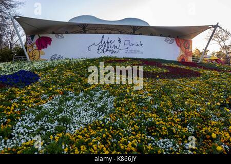 Canberra. 17th Sep, 2017. Photo taken on Sept. 17, 2017 shows the flowers on the Floriade 2017 at Canberra's Commonwealth Park, Australia. This year's Floriade will held from Sept. 16 to Oct. 15. Credit: Zhu Nan/Xinhua/Alamy Live News Stock Photo