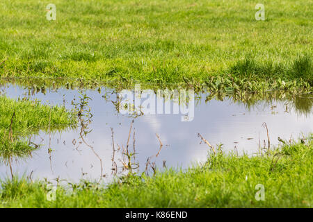 Flood water in a field after heavy rain, with the sky reflection in the flood water. Rain water settled on grass in a field after flooding. Stock Photo