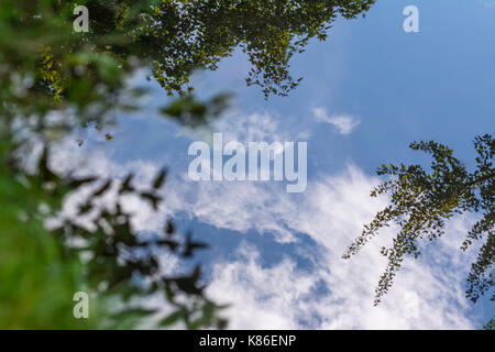 Trees and blue sky reflecting in still water on an Autumn day in the UK. Stock Photo