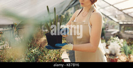 Cropped shot of woman holding a cactus plant in greenhouse. Midsection of female gardener holding a potted cactus at plant nursery. Stock Photo