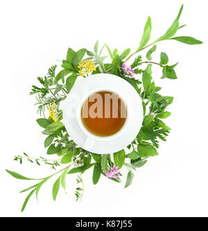 Cup of tea with fresh herbs and spices around it Stock Photo