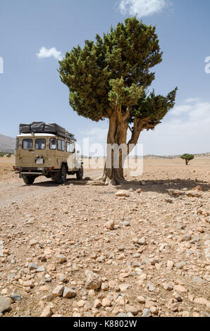 4wd offroad vehicle on rocky track with single tree, Cirque de Jaffar, Atlas Mountains, Morocco, North Africa Stock Photo