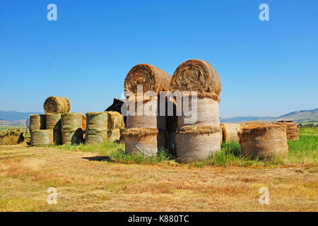 A stack of ton bales of hay on a cattle ranch along Flint Creek  in southwestern Montana near Phillilpsburg, Montana. Stock Photo