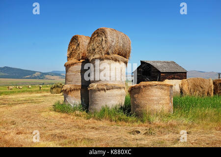 A stack of ton bales of hay on a cattle ranch along Flint Creek  in southwestern Montana near Phillilpsburg, Montana. Stock Photo