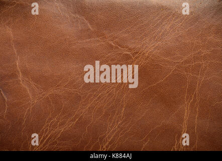brown leather background or texture close up view Stock Photo