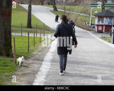 DOG OWNER  walks with the dog in Vasaparken Stockholm 2017 Stock Photo