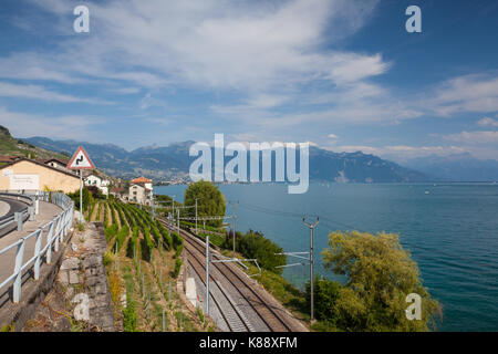 Lavaux, Switzerland - July 12, 2015: Vineyards near the railway station of the Lavaux region over lake Leman (lake of Geneva),Switzerland Stock Photo