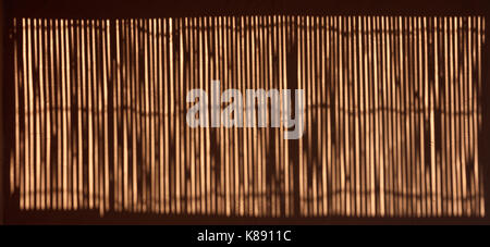 Dry bamboo fence shadow on the wall Stock Photo