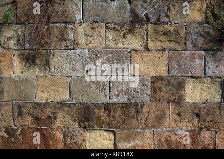 Stone block wall overgrown with plants, closeup. Stock Photo