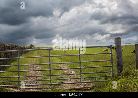 Fence in th countryside in Yorkshire, England Stock Photo