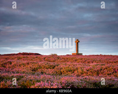 Sunrise across the heather moorland at Anna Cross in the North Yorkshire Moors. Stock Photo