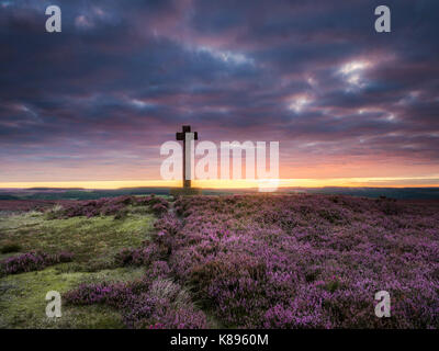 Sunrise across the heather moorland at Anna Cross in the North Yorkshire Moors. Stock Photo