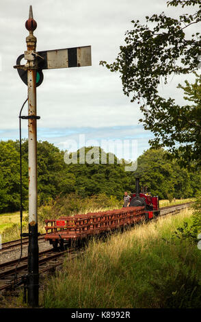 Steam train on the Bala lake Narrow Gauge railway in North Wales Stock Photo