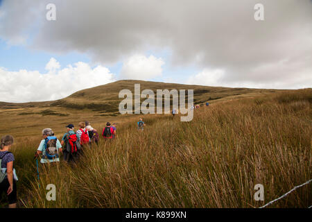 Group of walkers taking in the view  on Moel Emoel above Bala in North Wales Stock Photo