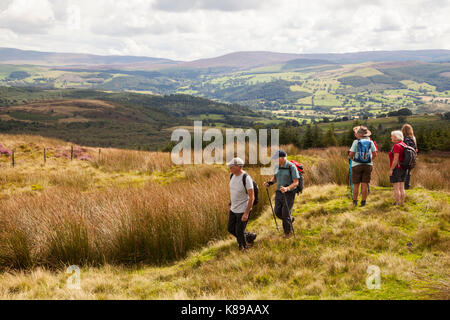 Group of walkers taking in the view  on Moel Emoel above Bala in North Wales Stock Photo
