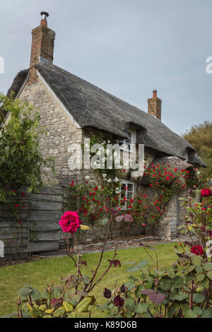 Thatched Cottage with red roses in Dorset
