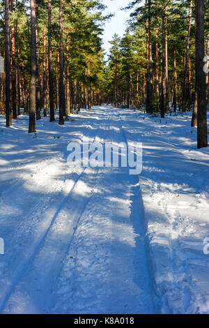 A cold winterday i Ahus,Sweden. Stock Photo