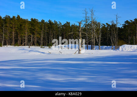A cold winterday i Ahus,Sweden. Stock Photo