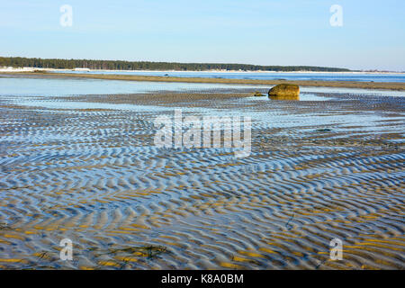 This is the famouse beach outside ahus, sweden, Called Kantarellen.  The foto is taken when the Winter is here. Stock Photo