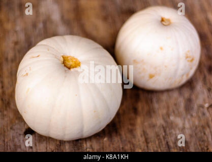 Two stemless white pumpkins Stock Photo