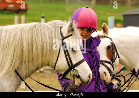 a young horse rider looking after and holding two horses or ponies wearing riding kit and smiling taking care of the animals.