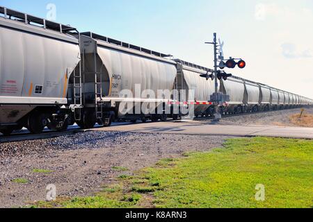 Unit freight train moving through Somonauk, Illinois on its journey from Chicago. Somonauk, Illinois, USA. Stock Photo