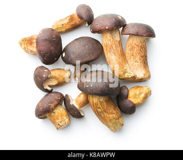 Fresh boletus mushrooms isolated on white background. Tasty food mushrooms. Stock Photo