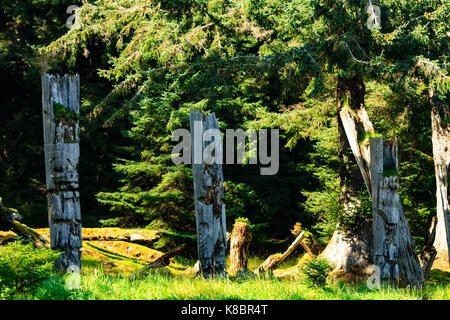 The funeral poles, also known as totem poles, in SGang Gwaay world heritage site, Haida Gwaii, First Nations, British Columbia, Canada Stock Photo