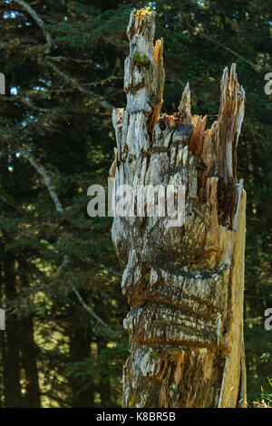 The funeral poles, also known as totem poles, in SGang Gwaay world heritage site, Haida Gwaii, First Nations, British Columbia, Canada Stock Photo