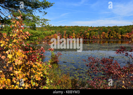 Brilliant fall foliage surrounding glossy lake Stock Photo
