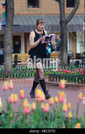 Young woman in short dress reads while walking among the tulips on Pearl Street Mall in Boulder, Colorado, Pearl St. Mall Stock Photo