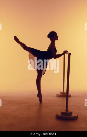 The young ballerina stretching on the bar Stock Photo