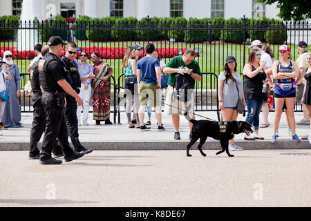 K-9 uniformed police patrolling just outside of the White House  - Washington, DC USA Stock Photo