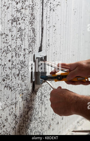An electrician installing an electrical utility box into insulated concrete form in Ontario, Canada. Stock Photo