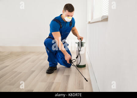 Mid adult male worker spraying pesticide on wall at home Stock Photo