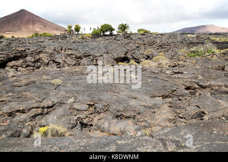 Solidified pahoehoe or ropey lava field, Tahiche village, Lanzarote, Canary Islands, Spain Stock Photo