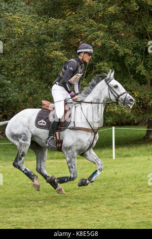 Andrew Nicholson on SWALLOW SPRINGS,  Blenheim Palace International Horse Trials 16th September 2017