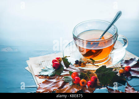 Glass tea cup in autumn still life with rain, leaves, book pages and berries on a wet background Stock Photo