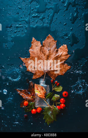 Big maple leaf in a glass perfume bottle with fallen leaves, red berries and autumn rain on a wet wooden background Stock Photo