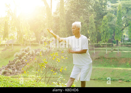Portrait of healthy grey hair Asian old man practice martial arts at outdoor park in morning. Stock Photo
