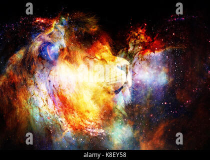 space lion wallpaper