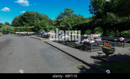 Floral tributes and wreaths at Bradwell crematorium, Newcastle-under-Lyme, England, UK, ST5 8LE Stock Photo