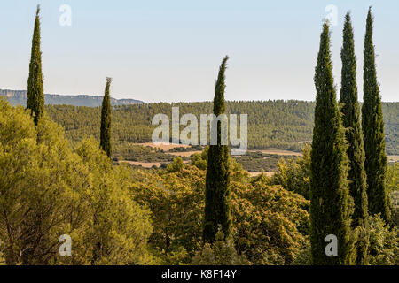 Panoramic view of the countryside with six cypresses from the village of Javier in Navarra, Spain from the Basilica of the Castle of San Francisco Xav Stock Photo