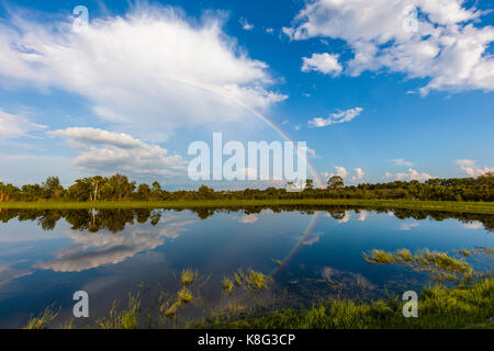 Rainbow in blue sky with white clouds over Venice Florida Stock Photo