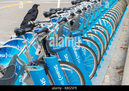 Vancouver, British Columbia, Canada - 13 September 2017: Mobi by Shaw Go bike share system in Vancouver Stock Photo