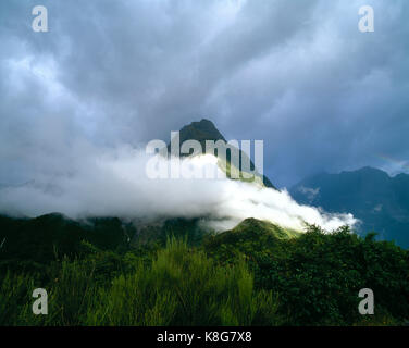 New Zealand. Milford Sound. Low level cloud over mountain. Stock Photo