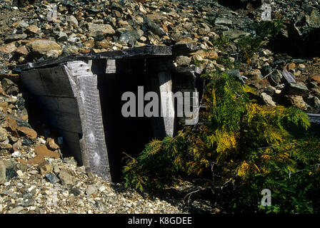 Gardner Mine ruins, Kalmiopsis Wilderness, Siskiyou National Forest, Oregon Stock Photo